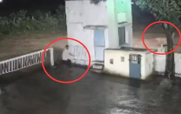 印度一男子后院与狮子相逢<strong></p>
<p>虚拟币案</strong>,双方都被吓懵,狮子扭身先逃