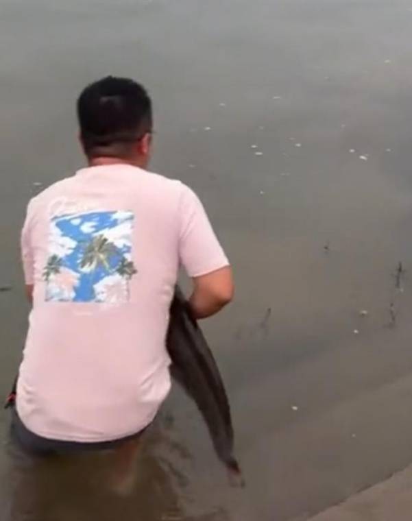 四川一男子钓1米长大鱼后放生<strong></p>
<p>机刷虚拟币</strong>,围观者高呼“卖给我”,回应:钓鱼是为娱乐