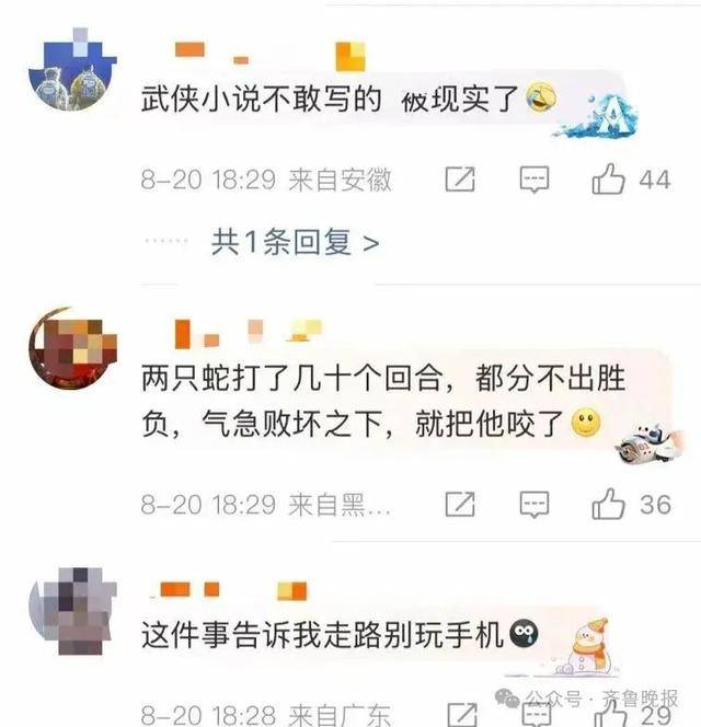 安徽宣城一男子走路玩手机<strong></p>
<p>四项虚拟币</strong>,一脚踩中打架的竹叶青和五步蛇,被俩毒蛇咬3口!医院:暂无生命危险,正在治疗