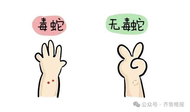 安徽宣城一男子走路玩手机<strong></p>
<p>四项虚拟币</strong>,一脚踩中打架的竹叶青和五步蛇,被俩毒蛇咬3口!医院:暂无生命危险,正在治疗