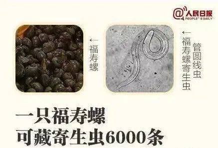 别吃!寄生虫多达6000条!浙江一地大量出现<strong></p>
<p>虚拟币路演</strong>,看到立刻上报