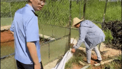 安徽一钓鱼佬钓到一条1米长20斤的“大鱼”<strong></p>
<p>虚拟币三方交易</strong>,赶紧送到派出所,民警:放生!