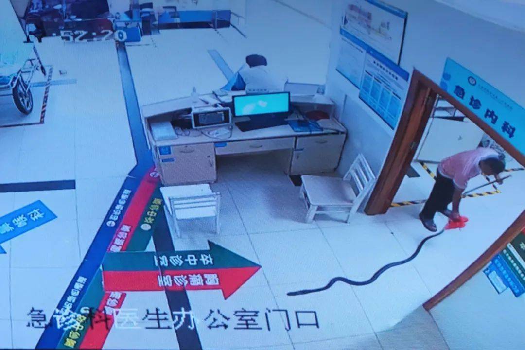 眼镜王蛇咬伤老人<strong></p>
<p>比特币换虚拟货币</strong>,家属拖两米多长的“凶手”冲进医院!“拎蛇就医”可取吗?