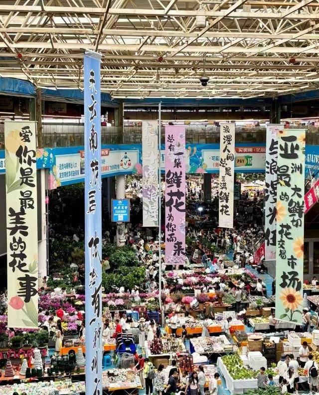 七夕不送玫瑰改送花菜<strong></p>
<p>虚拟币扫码</strong>!这一届年轻人“反套路”重新定义浪漫