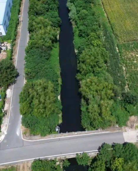 去年整改过的“黑水河”<strong></p>
<p>虚拟币扫码</strong>,今年怎么又黑了? | 新京报快评