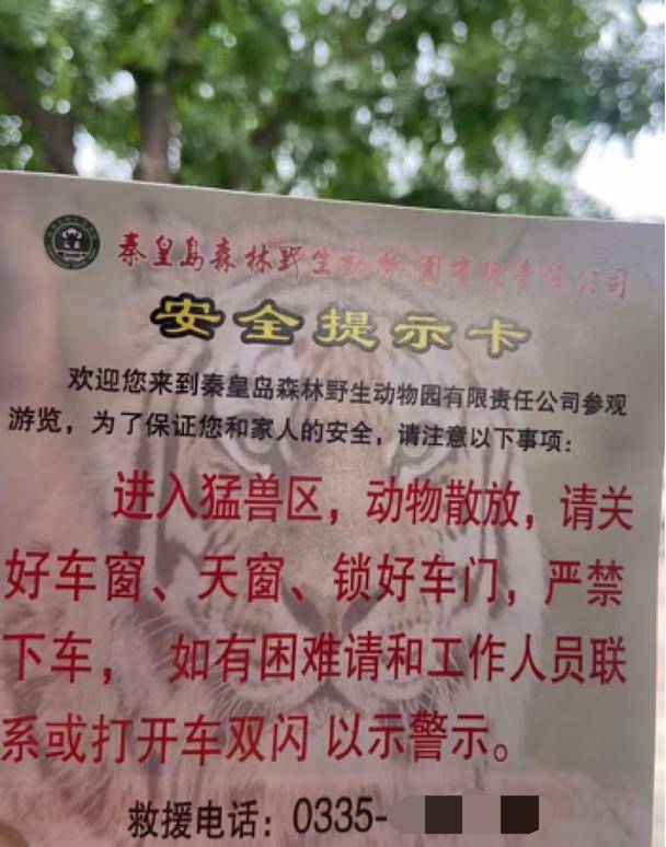 惊险!野生动物园内<strong></p>
<p>DW虚拟币</strong>,两车剐蹭,车主下车沟通老虎一旁围观