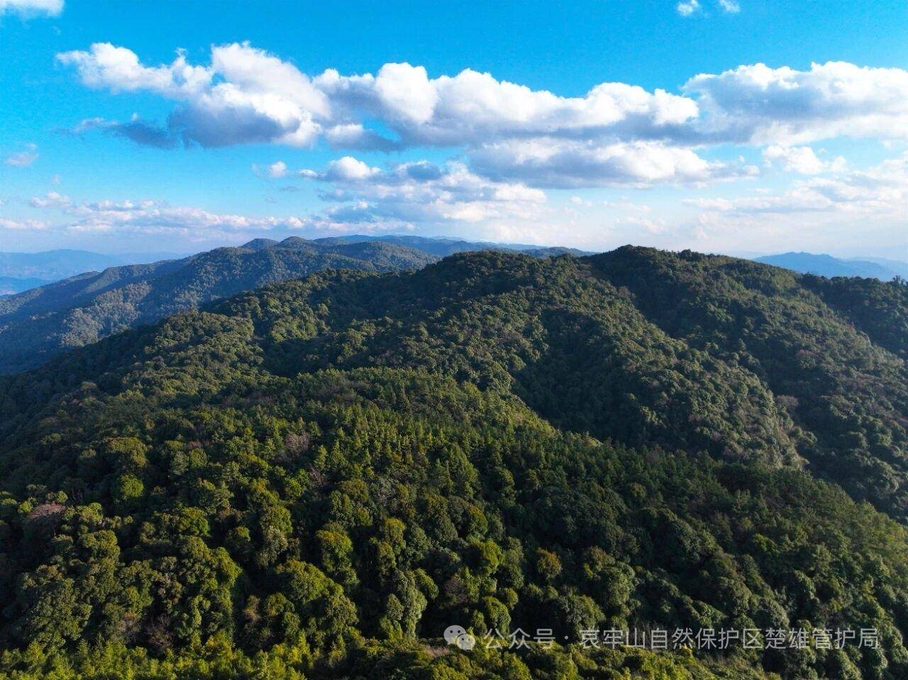 云南哀牢山新规出台：禁止任何单位和个人擅入哀牢山自然保护区，从事科研活动须报批
