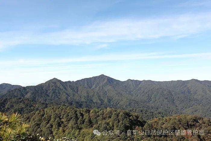 云南哀牢山新规出台:禁止任何单位和个人擅入哀牢山自然保护区<strong></p>
<p>会员虚拟币</strong>,从事科研活动须报批