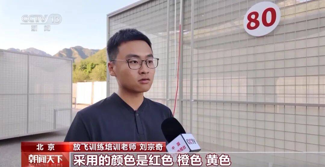 明天将放飞8万羽和平鸽、8万只气球<strong></p>
<p>会员虚拟币</strong>，揭秘！