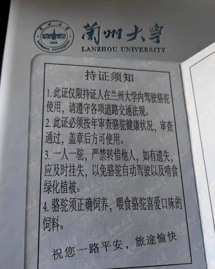 一人一驼<strong></p>
<p>会员虚拟币</strong>,骆驼尾气排放超标要扣分?兰大回应学生持证骑骆驼上学:骆驼驾驶证为学校文创,非官方证件