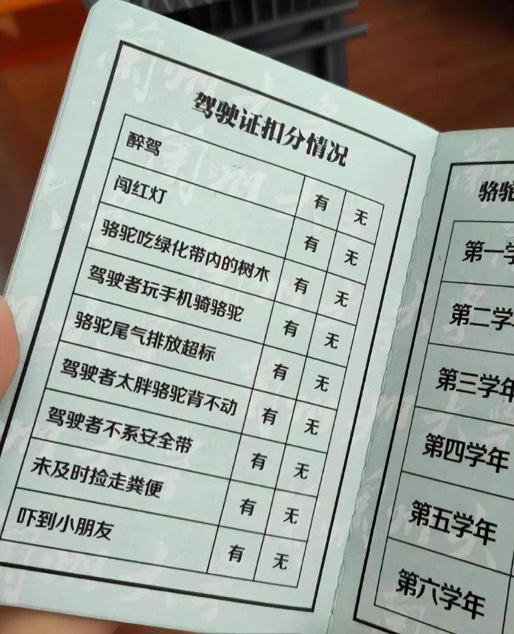 一人一驼<strong></p>
<p>会员虚拟币</strong>,骆驼尾气排放超标要扣分?兰大回应学生持证骑骆驼上学:骆驼驾驶证为学校文创,非官方证件