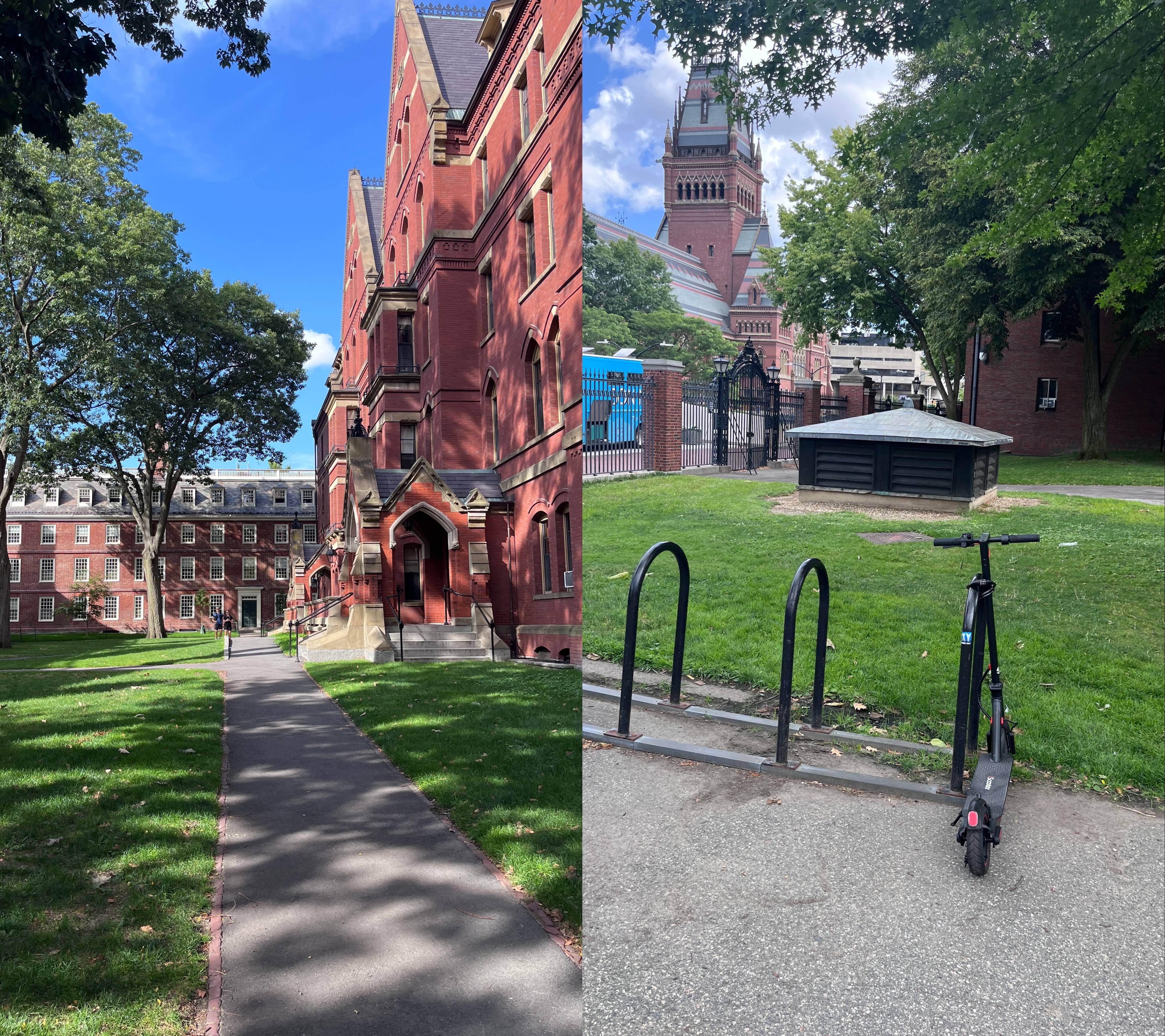 县城女孩赴美留学 哈佛梦值不值200万？