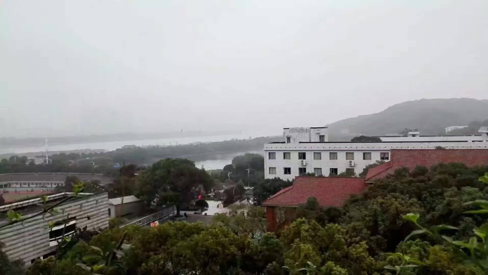 县城女孩赴美留学 哈佛梦值不值200万<strong></p>
<p>会员虚拟币</strong>?