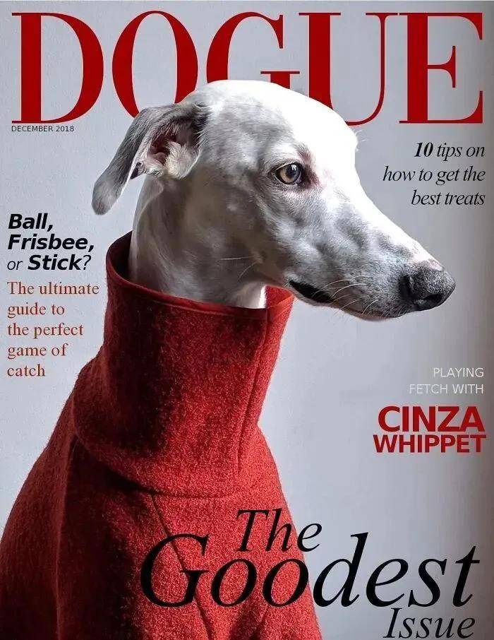 年近四十<strong></p>
<p>寿司虚拟币</strong>，二孩妈妈，不骨感不时髦，却成了女魔头接班人