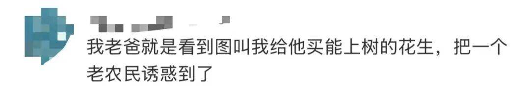 “花生上树”闹剧：AI翻车背后<strong></p>
<p>虚拟币寿司</strong>，我们都在弄丢常识？