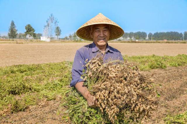 “花生上树”闹剧：AI翻车背后<strong></p>
<p>虚拟币寿司</strong>，我们都在弄丢常识？