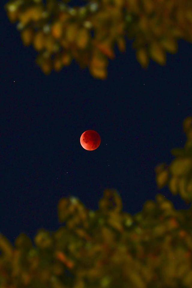 刷屏朋友圈<strong></p>
<p>虚拟币封卡</strong>！“红月亮”高清大图来了