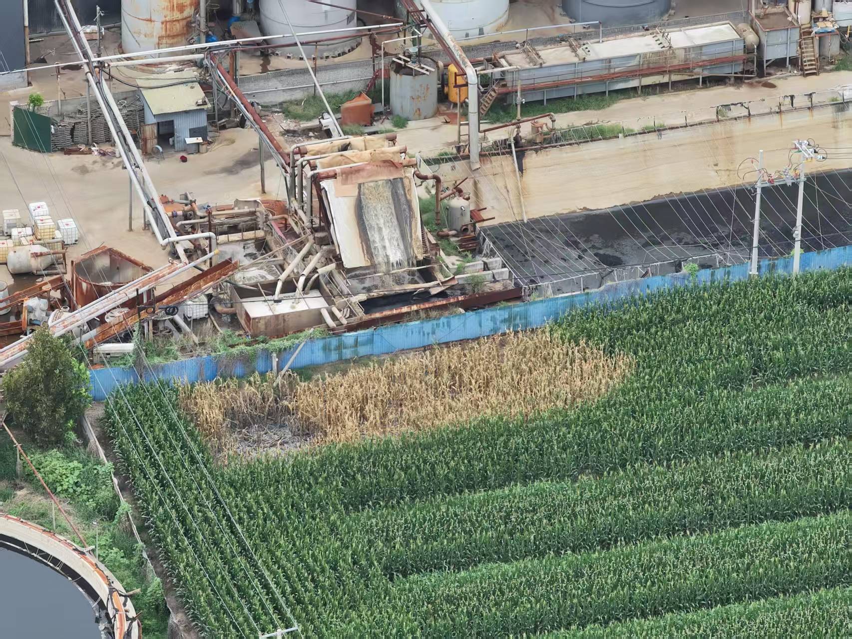 河北柏乡:造纸厂污水外排大片农作物致死引关注<strong></p>
<p>虚拟币封卡</strong>!