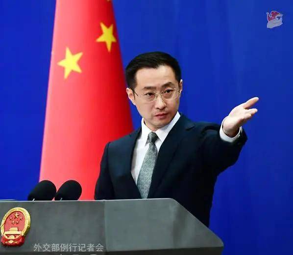 金灿荣：这一类汉奸，害国不浅！