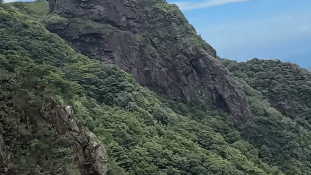 失联5天<strong></p>
<p>虚拟币激励</strong>，遗体被找到！深圳警方初步排除刑事案件