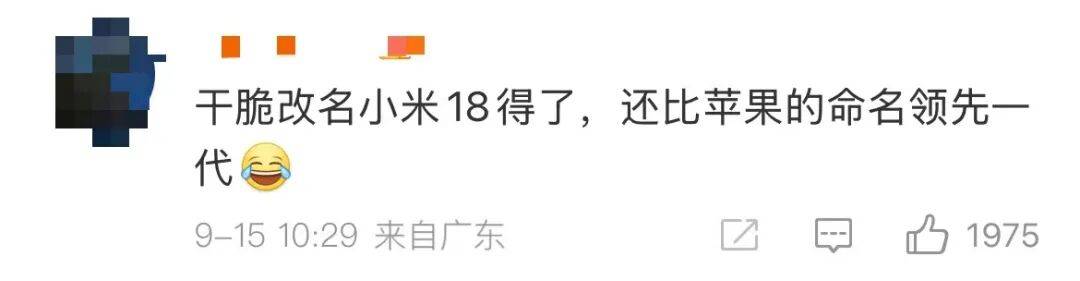 雷军：全面对标iPhone<strong></p>
<p>虚拟币激励</strong>，正面迎战！小米宣布跳过16系列，直接发布17