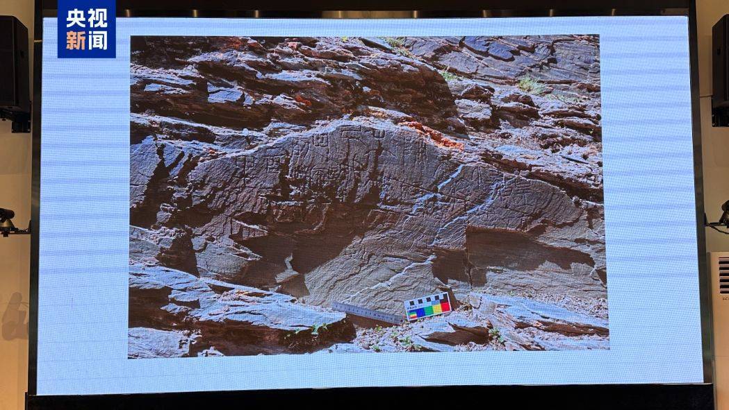 重要发现！扎陵湖秦代刻石得到认定！每经独家采访当地牧民：40年前就曾看见，在他家牧场内