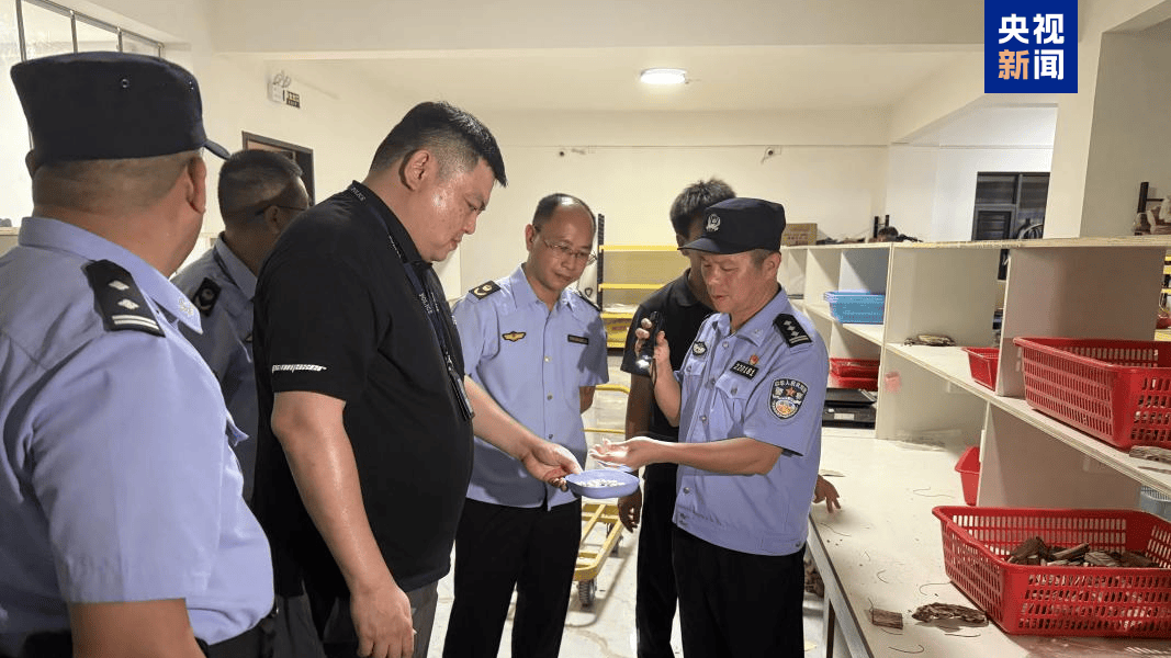 央视曝光后<strong></p>
<p>虚拟币动画</strong>，广东电白连夜行动，对5家企业立案调查