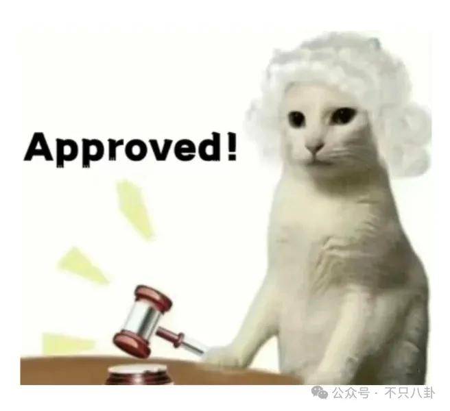 姐终于离了<strong></p>
<p>虚拟币动画</strong>,这次总算是摆脱不靠谱的老公和强势的婆婆了!