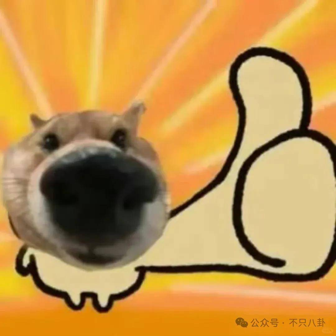 姐终于离了<strong></p>
<p>虚拟币动画</strong>,这次总算是摆脱不靠谱的老公和强势的婆婆了!