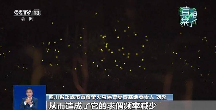 网传萤火虫濒临灭绝<strong></p>
<p>虚拟币动画</strong>，是真的吗？