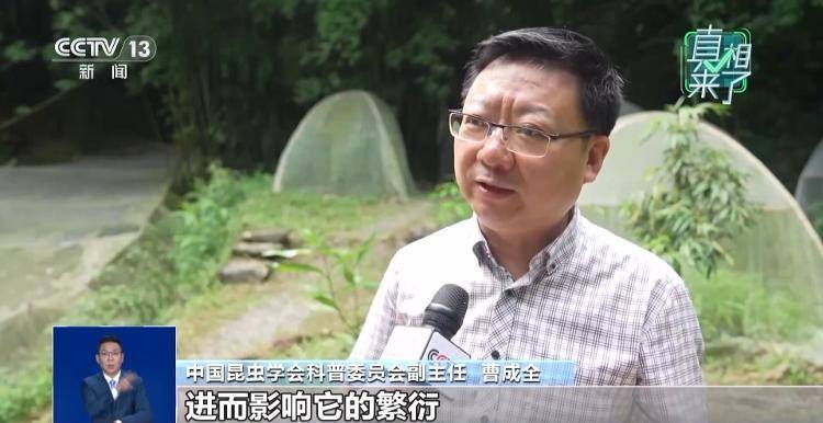 网传萤火虫濒临灭绝<strong></p>
<p>虚拟币动画</strong>，是真的吗？