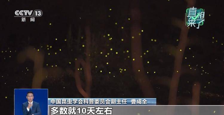 网传萤火虫濒临灭绝<strong></p>
<p>虚拟币动画</strong>，是真的吗？