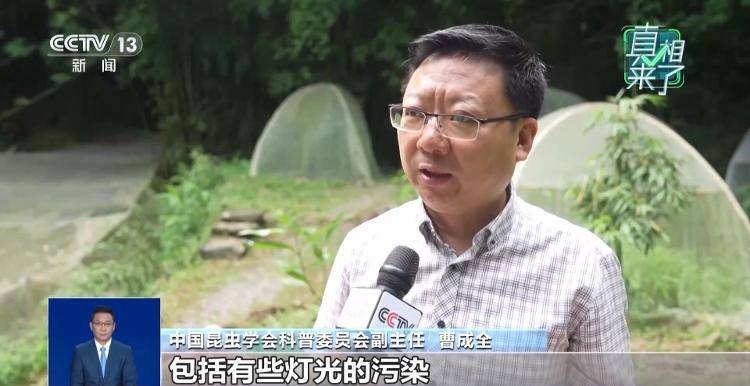 网传萤火虫濒临灭绝<strong></p>
<p>虚拟币动画</strong>，是真的吗？