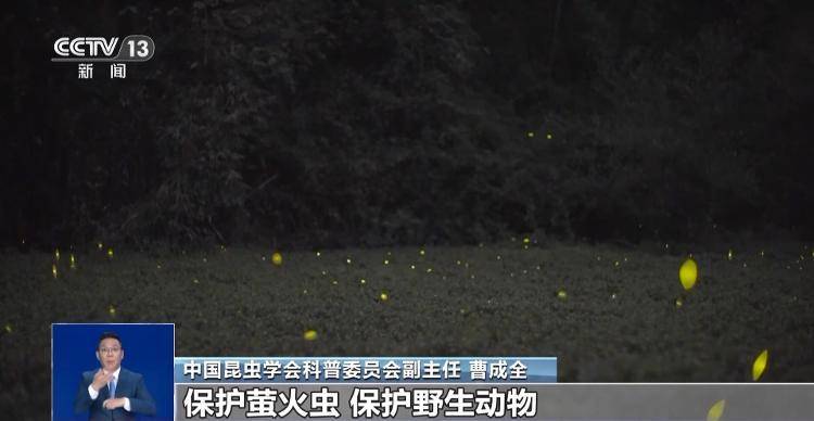 网传萤火虫濒临灭绝<strong></p>
<p>虚拟币动画</strong>，是真的吗？