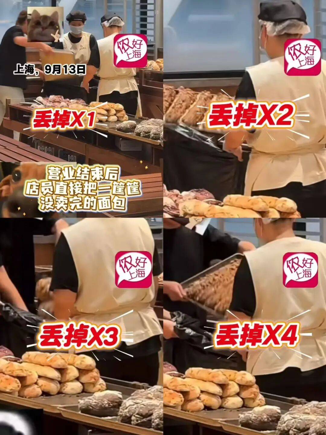 看着心疼<strong></p>
<p>虚拟币动画</strong>!上海网红店将没卖掉的面包整框扔了?网友吵翻