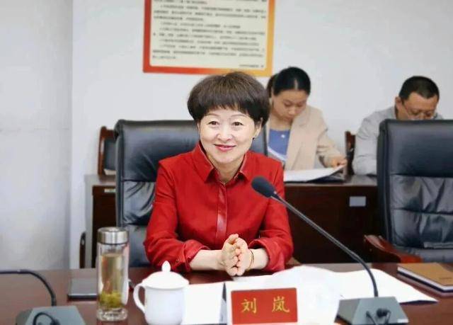 刘岚，在处长、副市长等任上敛财数额特别巨大