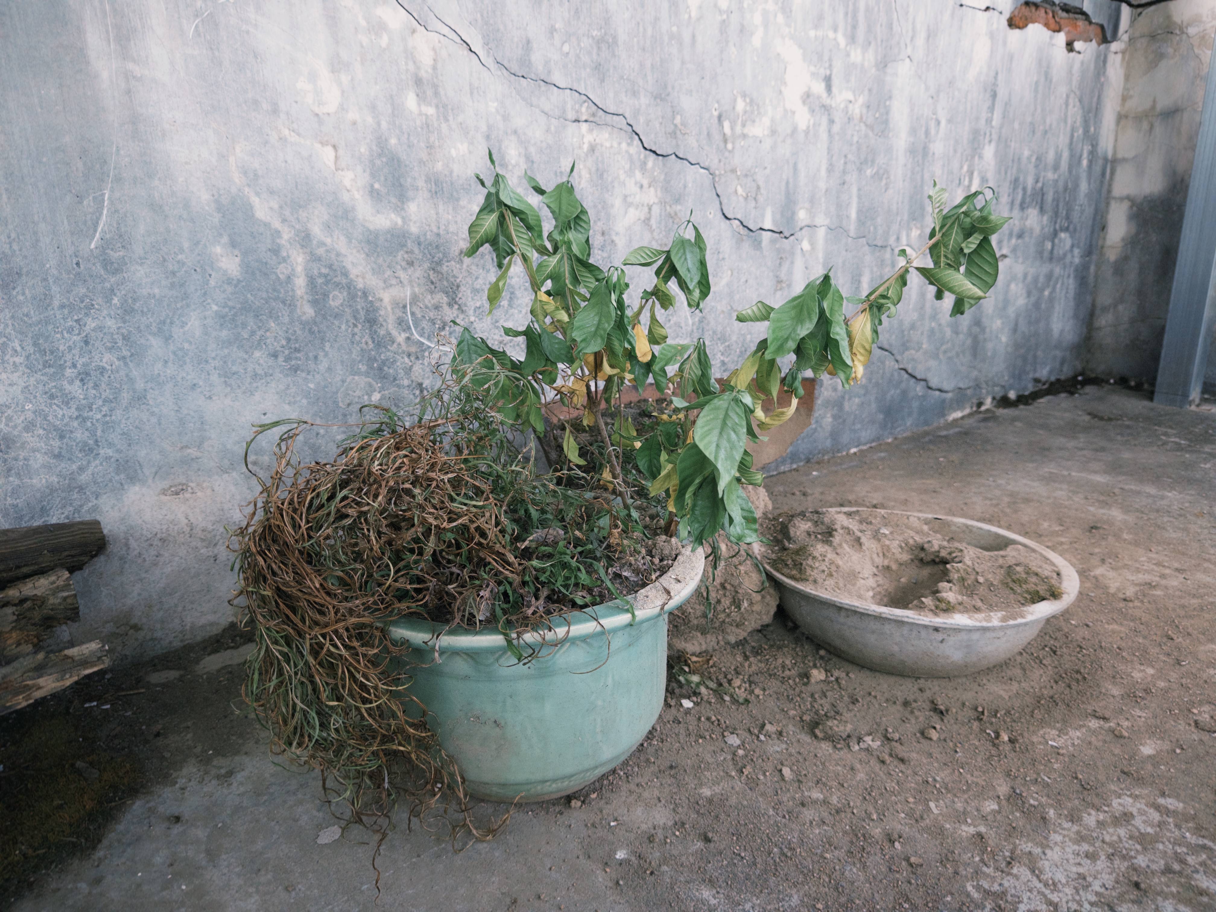 七旬母亲卖掉儿子3万斤藏书 称读书害了<strong></p>
<p>虚拟币锁金</strong>他