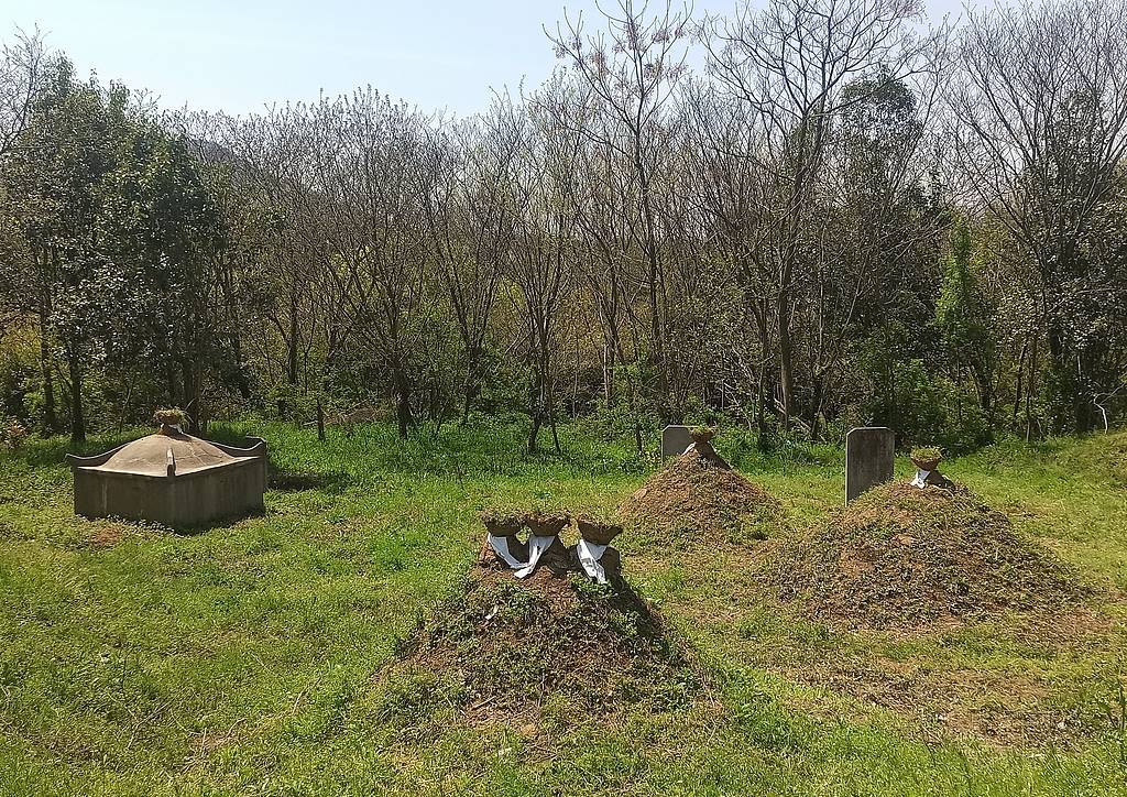 公职人员占他人耕地屡次修坟<strong></p>
<p>虚拟币锁金</strong>,得管管乡村恶霸