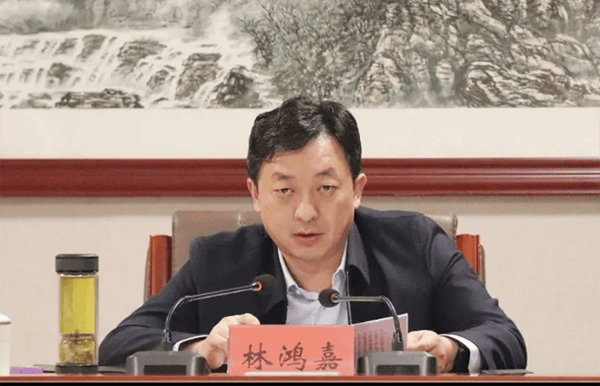 鹤壁市委常委、常务副市长林鸿嘉落马<strong></p>
<p>虚拟币贸易</strong>，一个月前被罢免