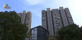 长租15年梦想一年破灭<strong></p>
<p>虚拟币贸易</strong>！女子遭遇“劝退”