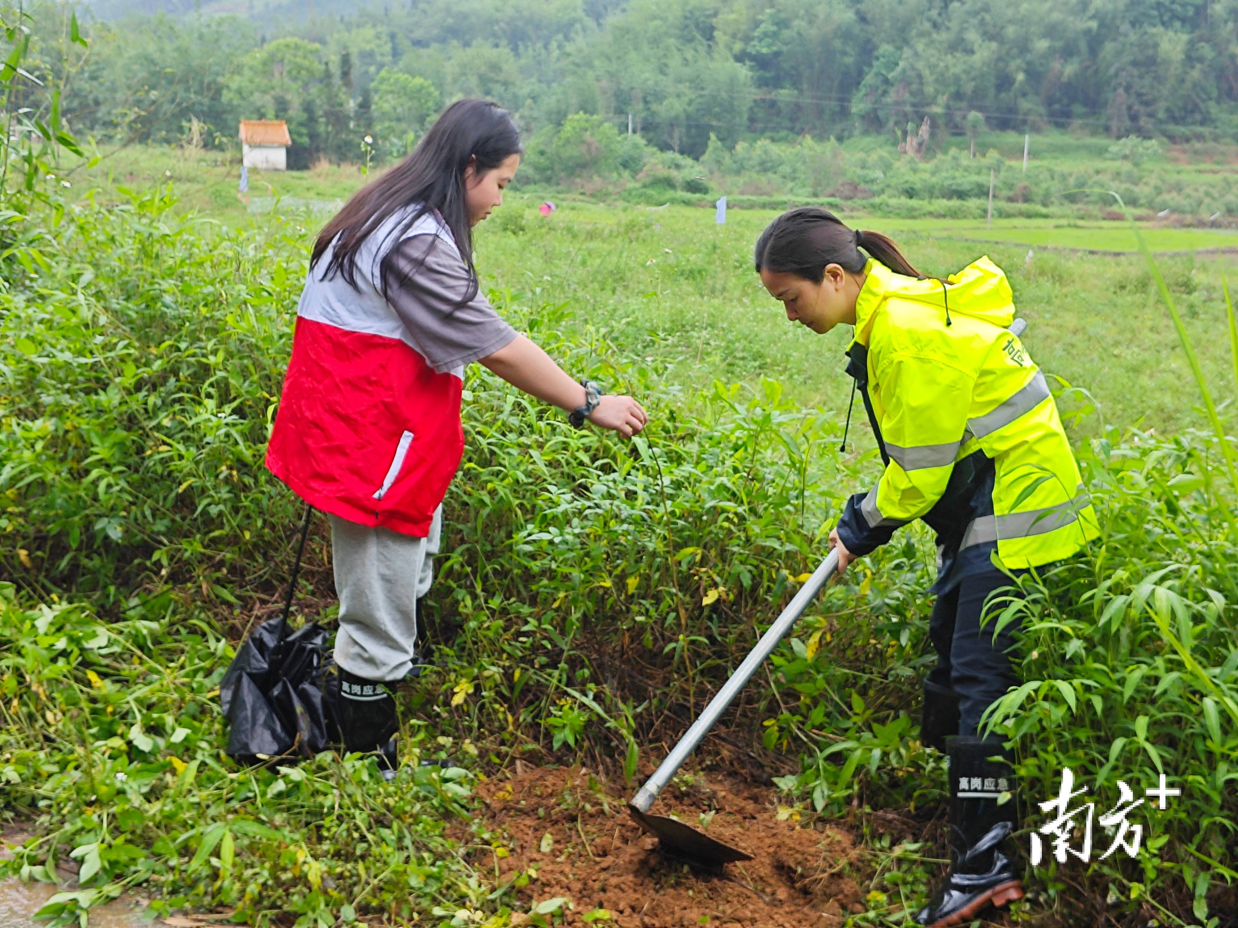 “外来媳妇”谭焕贞五年深耕<strong></p>
<p>虚拟币钛币</strong>，佛冈高岗宝山村换新貌