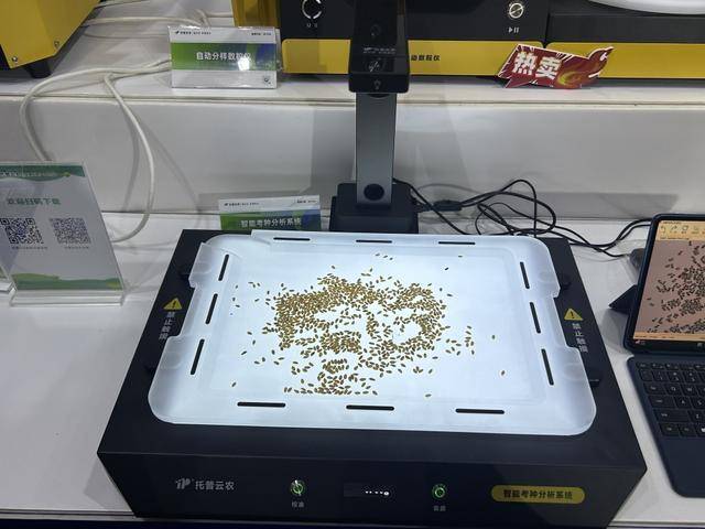 紫色向日葵、多彩胡萝卜、双色火龙果亮相青岛<strong></p>
<p>虚拟币钛币</strong>,种子盛会变身“未来食物实验室”