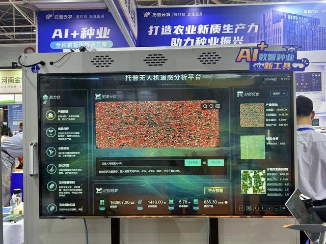 紫色向日葵、多彩胡萝卜、双色火龙果亮相青岛<strong></p>
<p>虚拟币钛币</strong>,种子盛会变身“未来食物实验室”