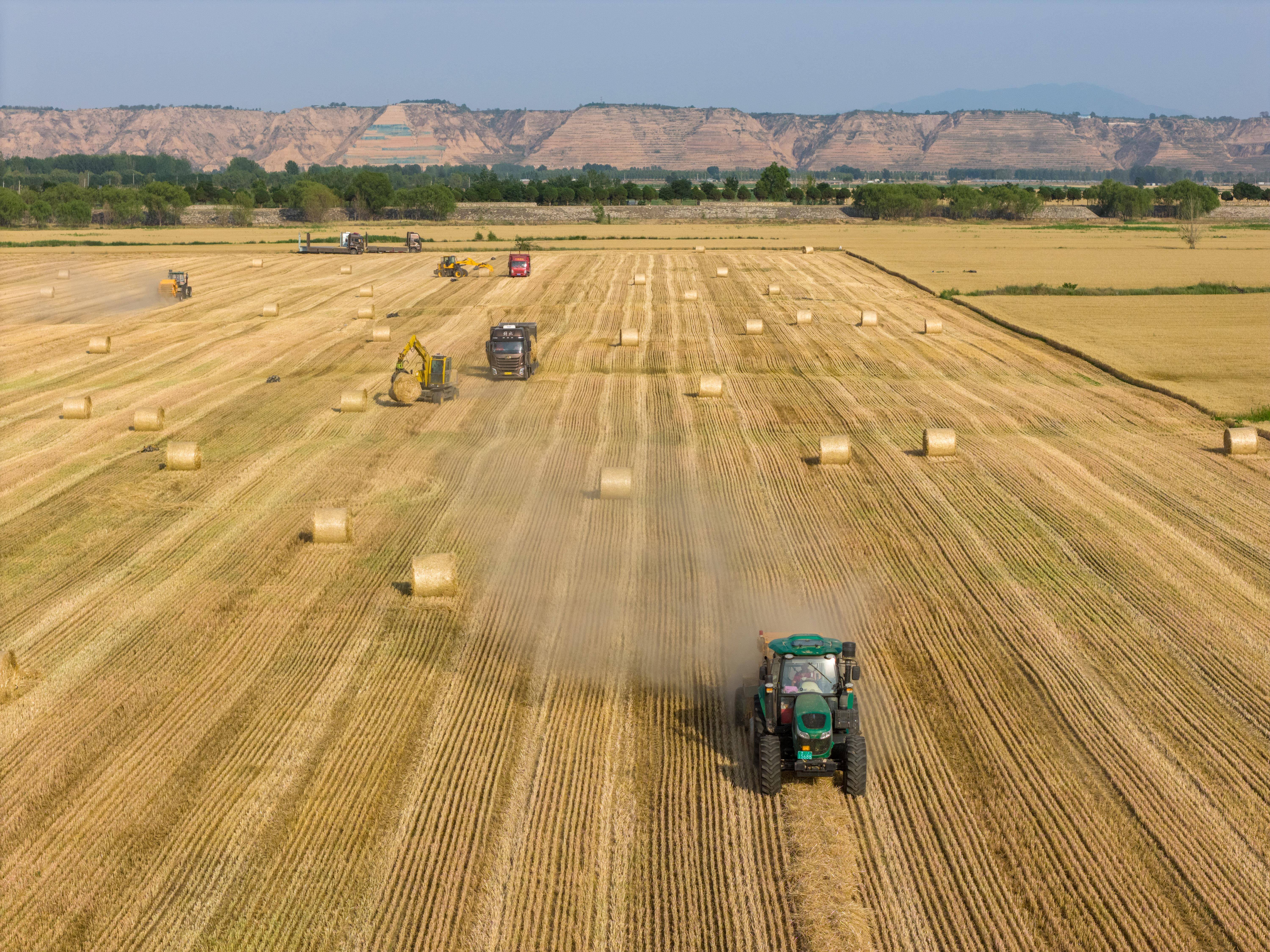 时政微观察丨为<strong></p>
<p>虚拟币流量</strong>了前无古人的伟大事业