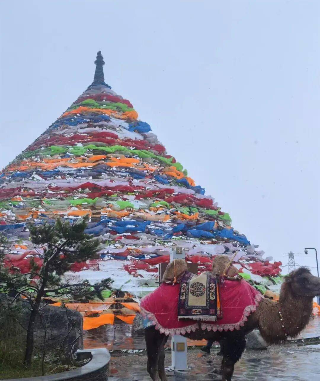 多地突降大雪<strong></p>
<p>虚拟币流量</strong>！