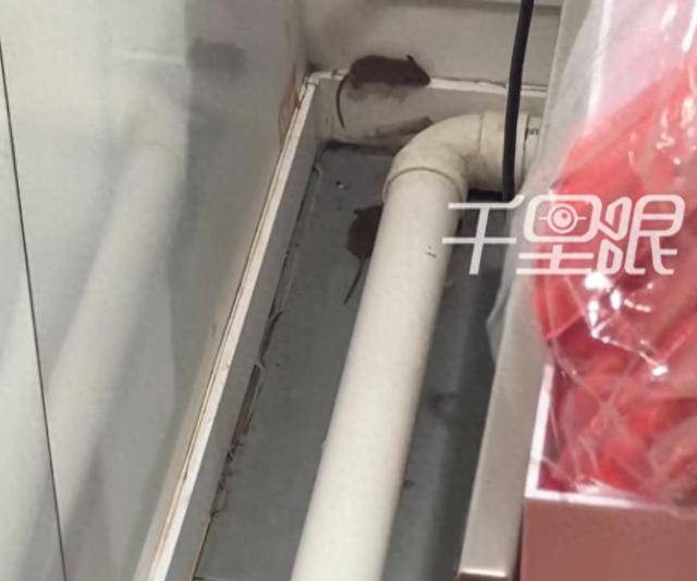 网曝蜜雪冰城一门店有多只老鼠横行<strong></p>
<p>虚拟币流量</strong>，涉事门店员工回应