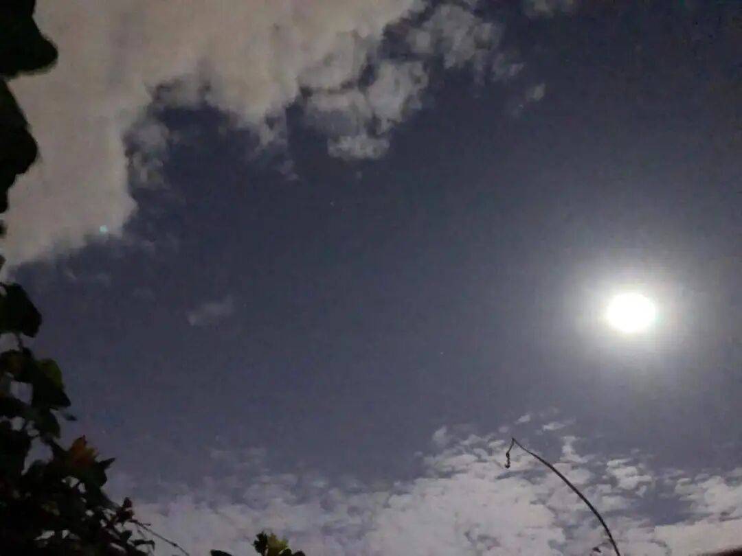 没有什么能阻挡!今天<strong></p>
<p>MM虚拟币</strong>,广西人就是要回家!