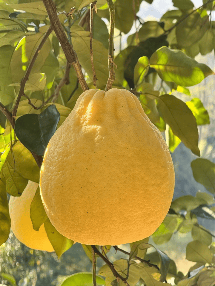 没有什么能阻挡!今天<strong></p>
<p>MM虚拟币</strong>,广西人就是要回家!