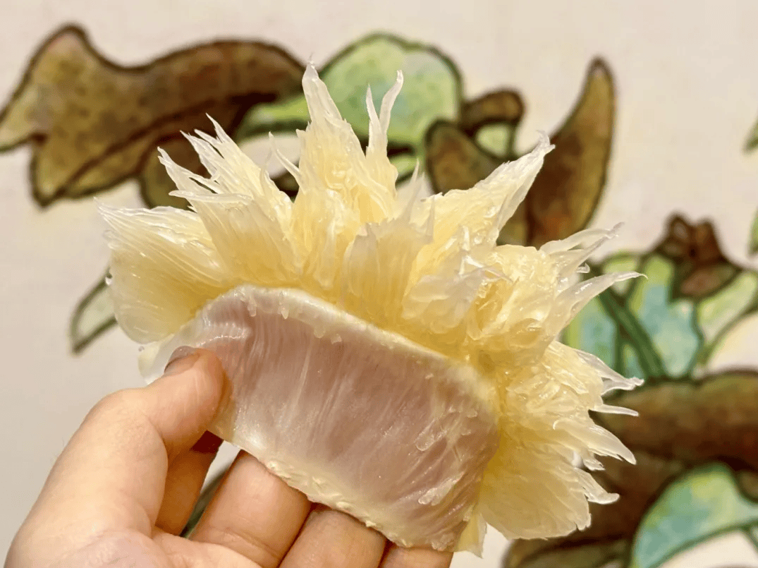 没有什么能阻挡!今天<strong></p>
<p>MM虚拟币</strong>,广西人就是要回家!