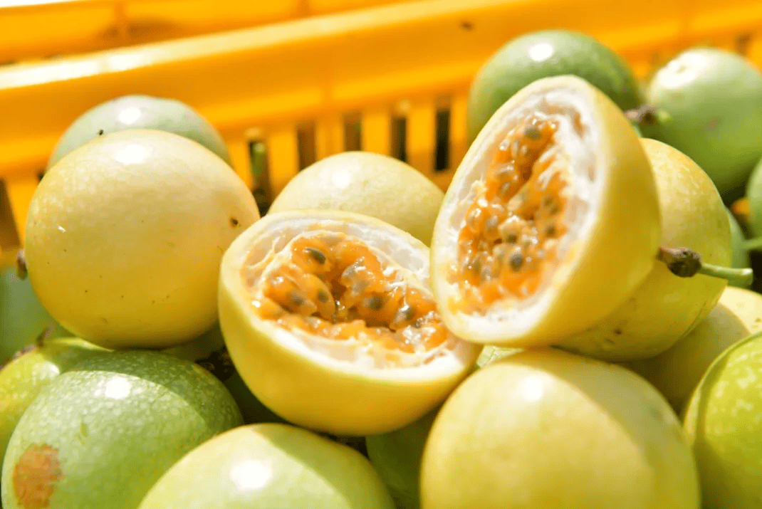 没有什么能阻挡!今天<strong></p>
<p>MM虚拟币</strong>,广西人就是要回家!